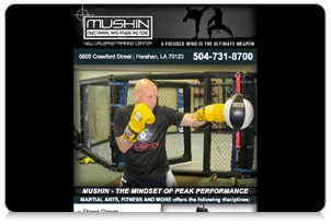 Mushin Martial Arts